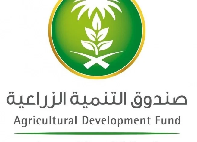 صندوق-التنمية-الزراعية:-تمويل-التكاليف-التشغيلية-لمزارعي-القمح-يستهدف-الحاصلين-على-تراخيص